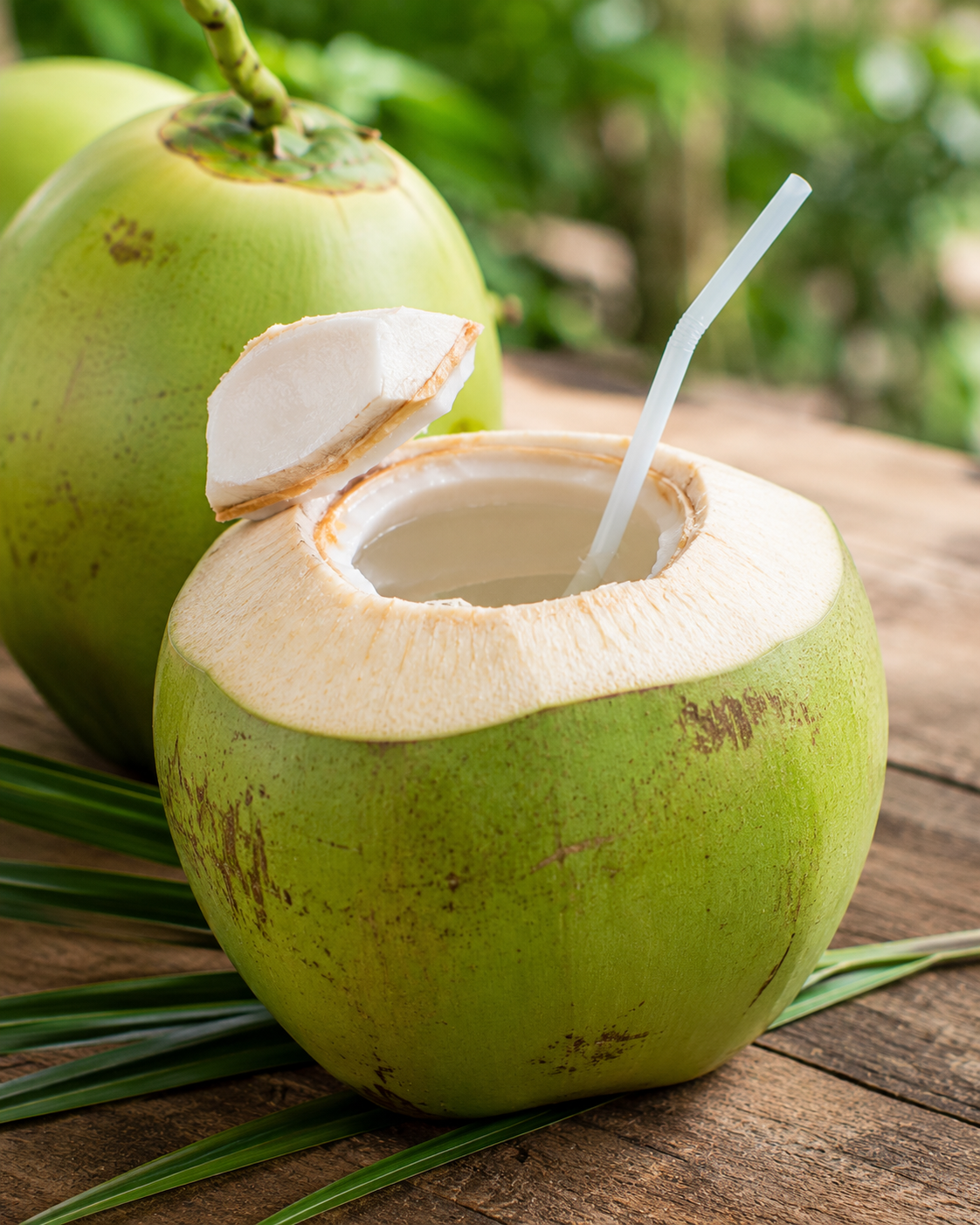 Kelapa Muda